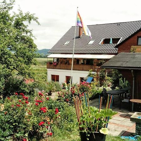 Ferienwohnung Mit Weserblick Und Kamin ヘッシシュ・オルデンドルフ エクステリア 写真